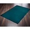 B&M Aspen Faux Fur Rug 60 X 110cm - Teal -Cozy Living Home Store 361917 361918 aspen faux fur rug teal 1