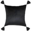 B&M Ariana Velvet Cushion -Cozy Living Home Store 367560 ariana velvet cushion