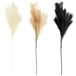 B&M Pampas Stem - Cream 7 B&M Pampas Stem - Cream -Cozy Living Home Store 372800 395541 394382 pamas stem group 1
