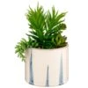 B&M Succulent In Blue Drip Pot -Cozy Living Home Store 380106 succulent in blue drip pot