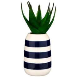 B&M Small Succulent -Cozy Living Home Store 380107 small succulent 3