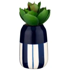 B&M Small Succulent -Cozy Living Home Store 380107 small succulent 5