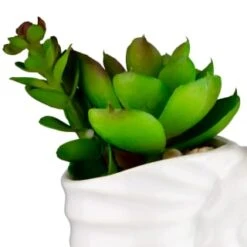 B&M Scandi Shore Small Shell Succulent -Cozy Living Home Store 380110 small shell succulent 2