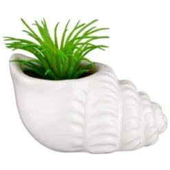 B&M Scandi Shore Small Shell Succulent -Cozy Living Home Store 380110 small shell succulent 4
