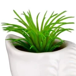 B&M Scandi Shore Small Shell Succulent -Cozy Living Home Store 380110 small shell succulent 5