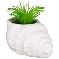 B&M Scandi Shore Small Shell Succulent -Cozy Living Home Store 380110 small shell succulent 6