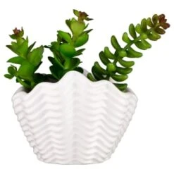 B&M Scandi Shore Small Shell Succulent -Cozy Living Home Store 380110 small shell succulent 7