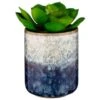 B&M Scandi Shore Succulent -Cozy Living Home Store 380125 scandi succulent