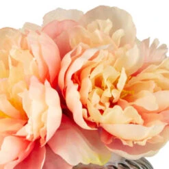 B&M Peony In Ribbed Glass Vase 5 B&M Peony In Ribbed Glass Vase -Cozy Living Home Store 380201 peony in ribbed glass vase 2