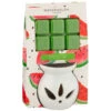 B&M Oil Burner & Wax Melt Set - Watermelon -Cozy Living Home Store 380475 oil burner wax melt set watermelon