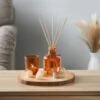 B&M Homestead Diffuser Set 100ml -Cozy Living Home Store 380489 100ml diffuser set