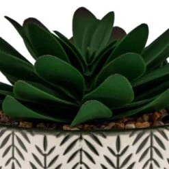 B&M Succulent In Botanist Print Pot - Green 5 B&M Succulent In Botanist Print Pot - Green -Cozy Living Home Store 380608 patterened pot with succulent 2