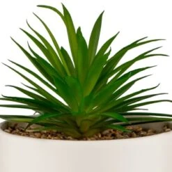 B&M Scandi Shore Succulent In White Pot -Cozy Living Home Store 380696 succulent in white pot 2