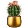 B&M Lush Paradise Cactus In Gold Pot -Cozy Living Home Store 380714 cactus in gold pot