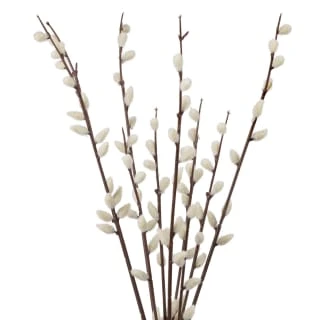 B&M Pussy Willow In White Vase 4 B&M Pussy Willow In White Vase - Image 2