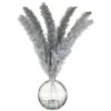 B&M Grey Pampas In Glass Vase -Cozy Living Home Store 392627 grey pampas in glass vase