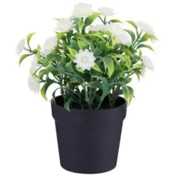 Bloom Daisies In Pot - White -Cozy Living Home Store 392825 daisies in pot