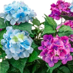 Bloom Basic Window Box - Hydrangea 6 Bloom Basic Window Box - Hydrangea -Cozy Living Home Store 392827 basic window box hydrangea 2