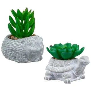 Bloom Mini Animal Succulent - Hedgehog 4 Bloom Mini Animal Succulent - Hedgehog - Image 2