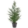 Bloom Conifer Tree In Plant Pot -Cozy Living Home Store 392865 conifer tree in plant pot