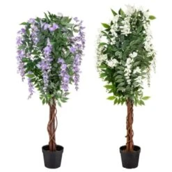 Bloom Wysteria Tree In Pot - Purple -Cozy Living Home Store 392870 4ft wysteria tree group