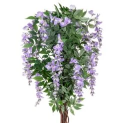 Bloom Wysteria Tree In Pot - Purple -Cozy Living Home Store 392870 4ft wysteria tree purple 2