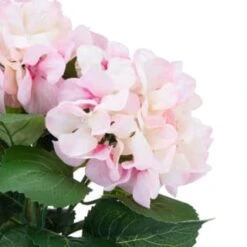 Bloom Hydrangea In Pot - Pink -Cozy Living Home Store 392961 hydrangea in pot