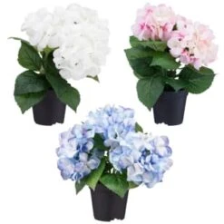 Bloom Hydrangea In Pot - Pink -Cozy Living Home Store 392961 hydrangea in pot group1