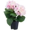 Bloom Hydrangea In Pot - Pink -Cozy Living Home Store 392961 hydrangea in pot pink