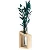 B&M Plant In Glass & Wooden Vase -Cozy Living Home Store 394337 plant in glass and wooden vase