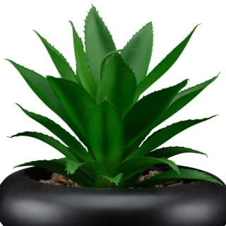 B&M Succulent In Bubble Vase 4 B&M Succulent In Bubble Vase - Image 2