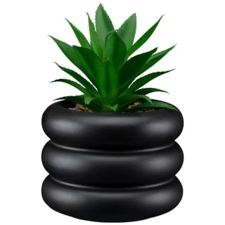 B&M Succulent In Bubble Vase 3 B&M Succulent In Bubble Vase