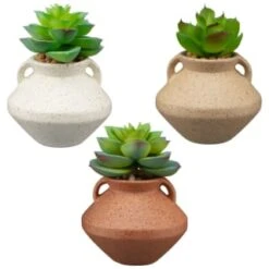 B&M Small Succulent Vase - Orange -Cozy Living Home Store 394662 small vase succulent group
