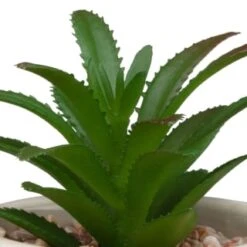 B&M Assorted Embossed Pots 14 B&M Assorted Embossed Pots -Cozy Living Home Store 394664 embossed pot 2