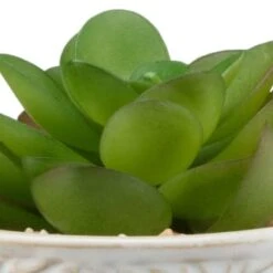 B&M Assorted Embossed Pots 15 B&M Assorted Embossed Pots -Cozy Living Home Store 394664 embossed pot 6