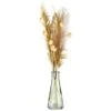 B&M Pampas & Leaf In Glass Vase -Cozy Living Home Store 394707 pampas and leaf in glass vase 3